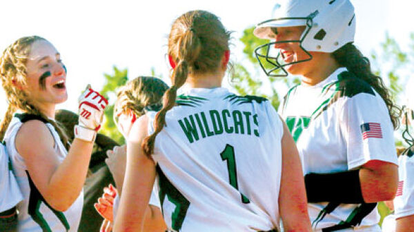 Novi Softball Aiming for Back-to-Back District Titles Despite Injury Setback