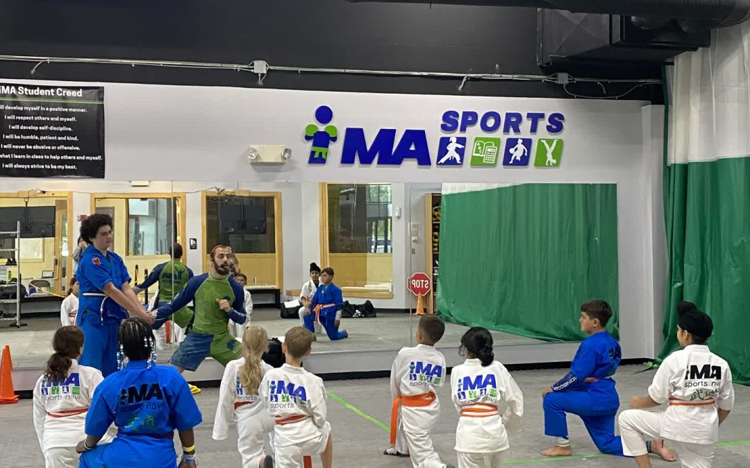 Unlock Family Fun with Martial Arts Classes in iMA Sports Novi