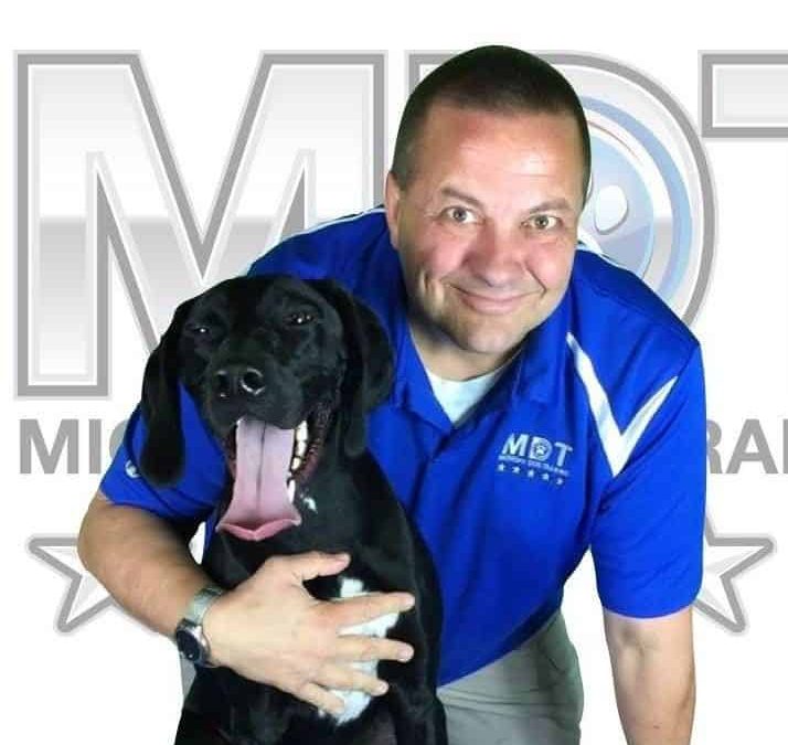 Michael Burkey: Your Trusted Guide to Dog Training and Behavior