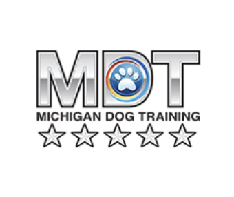 Michigan Dog Training: At What Age Should I Start Training My Dog?