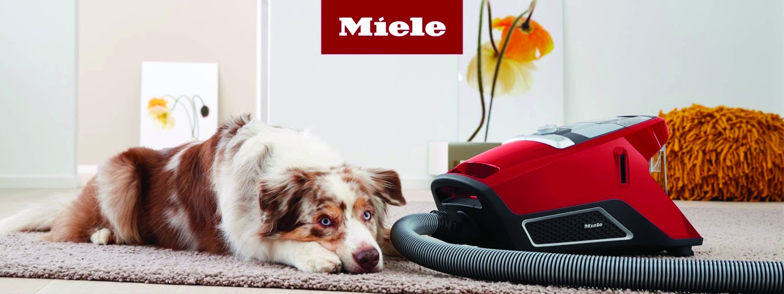 Explore the Exclusive Miele HomeCare Collection at Bank's Vacuum SuperStores