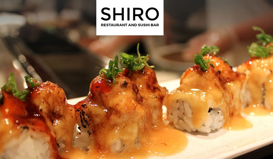 Historic Elegance & Exquisite Sushi at Novi’s Shiro Restaurant