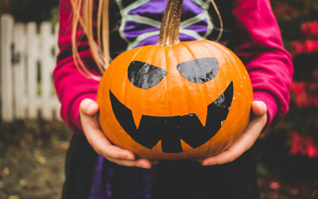 Your Guide to Halloween 2024 Events and Activities in Novi, Michigan