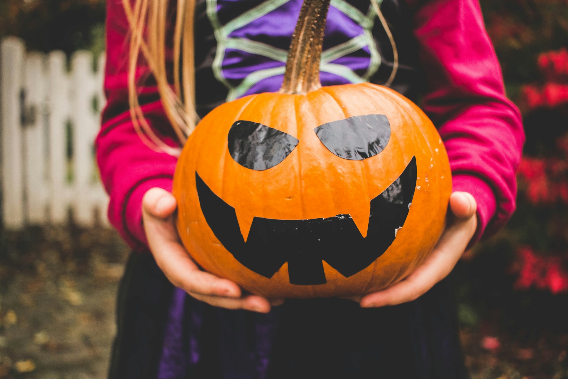 Your Guide to Halloween 2024 Events and Activities in Novi, Michigan