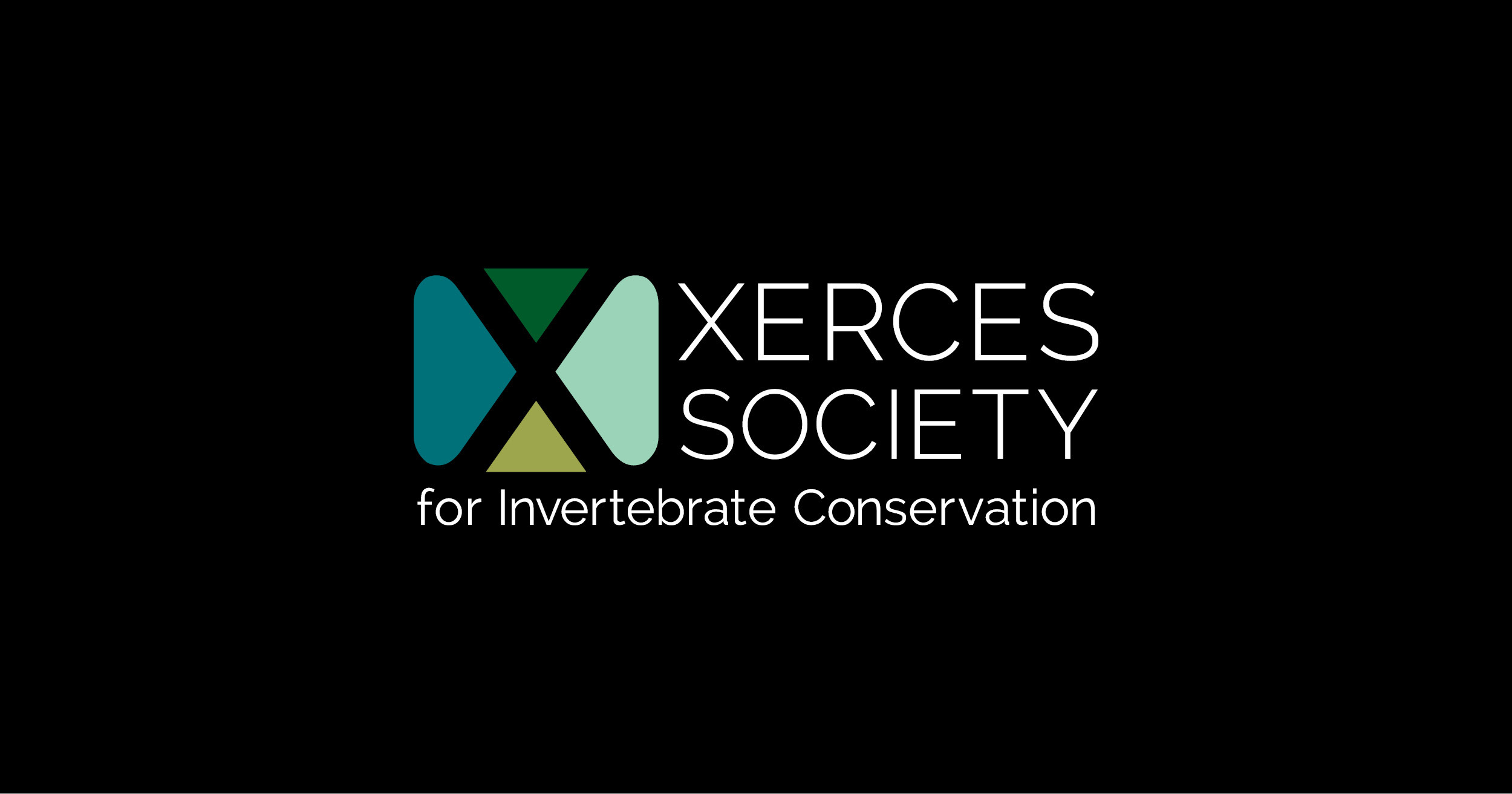 Xerces Society's collaboration brings a wealth of knowledge to the Rouge Park Pollinator Walk, stressing the importance of conserving pollinator habitats.
